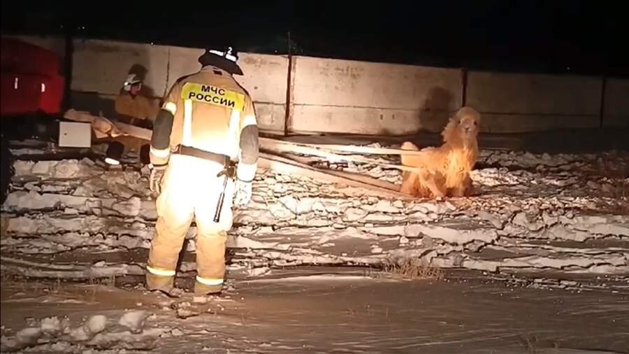 Туристы в походе. Камчатский край туризм. С днем камчатского края. Туристы на камчатке. Камчатка сейчас.