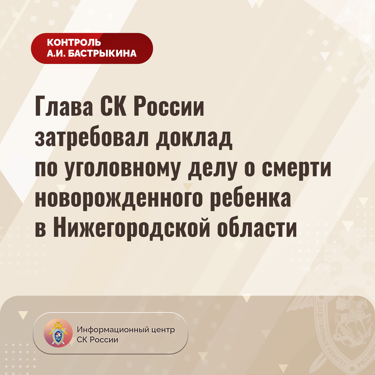 Глава СК России затребовал доклад по уголовному делу о смерти  новорожденного ребенка в Нижегородской области | Информационный центр СК  России | Дзен