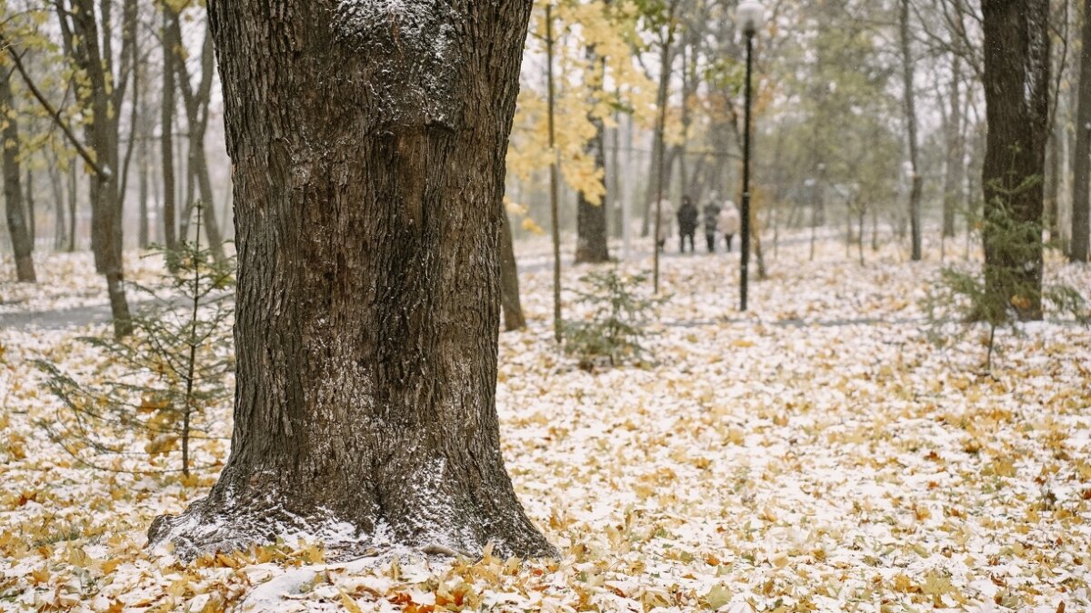 Светлана Мулыкина📷
