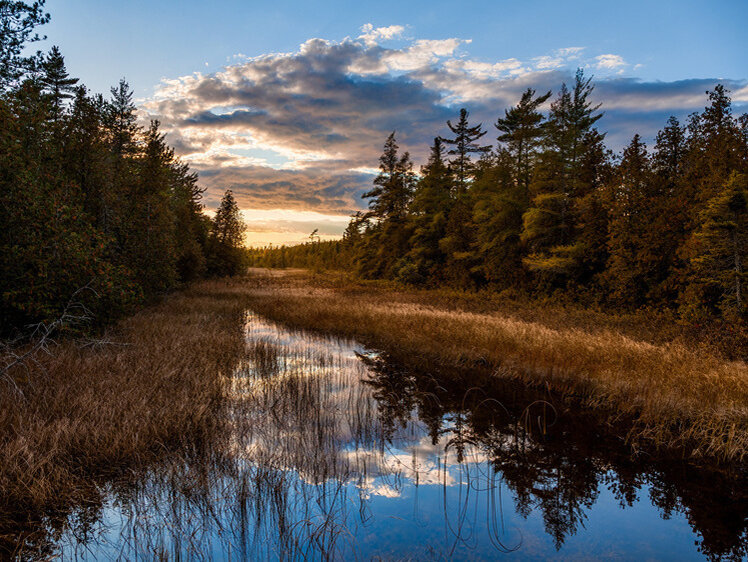 Ручей впадает в реку. Ручьи впадают. Ручей впадает в реку. Ручей водопад. Речка ручеек.