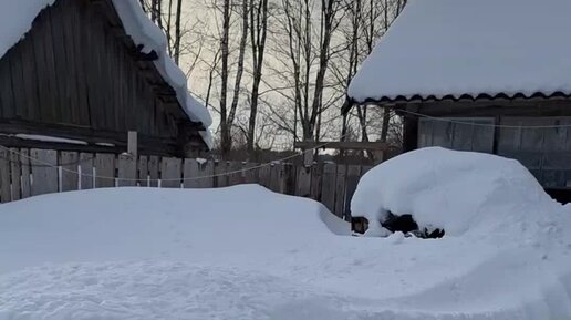 Жизнь в деревне. Деревня деревенька. Анохино владимирская область ковровский район. Ролик деревня. Жизнь в селе.