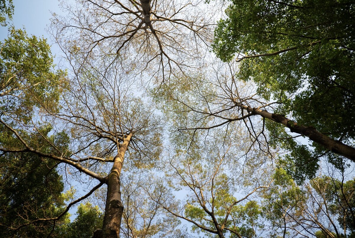 художник графический дизайнер. построение календарно сетевого графика. примеры работы ф. управленческая теория тейлора. примеры работы ф.