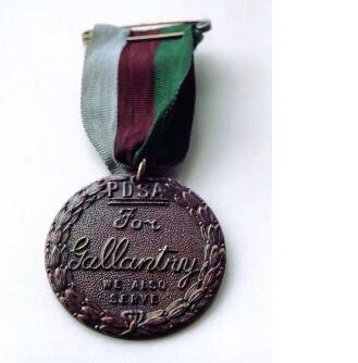 Медаль Марии Дикин