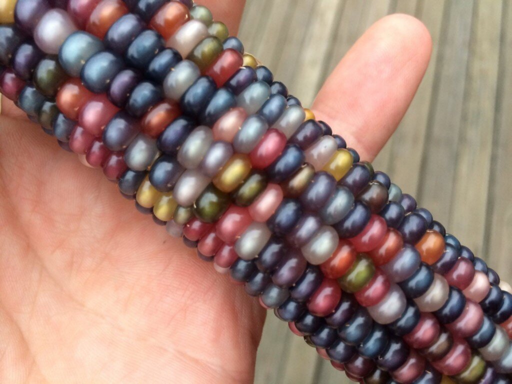 Стеклянная жемчужина. Попкорн.