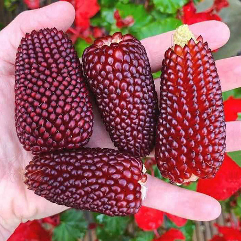 Клубничный попкорн