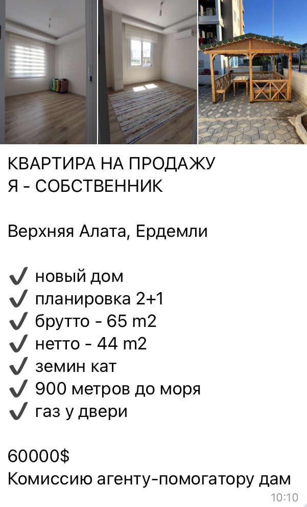 Одно из объявлений в чатах