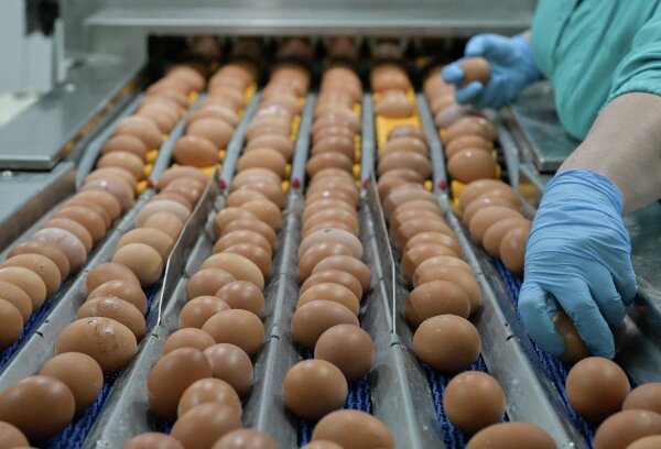 Фото: РИА Новости/Александр Кряжев