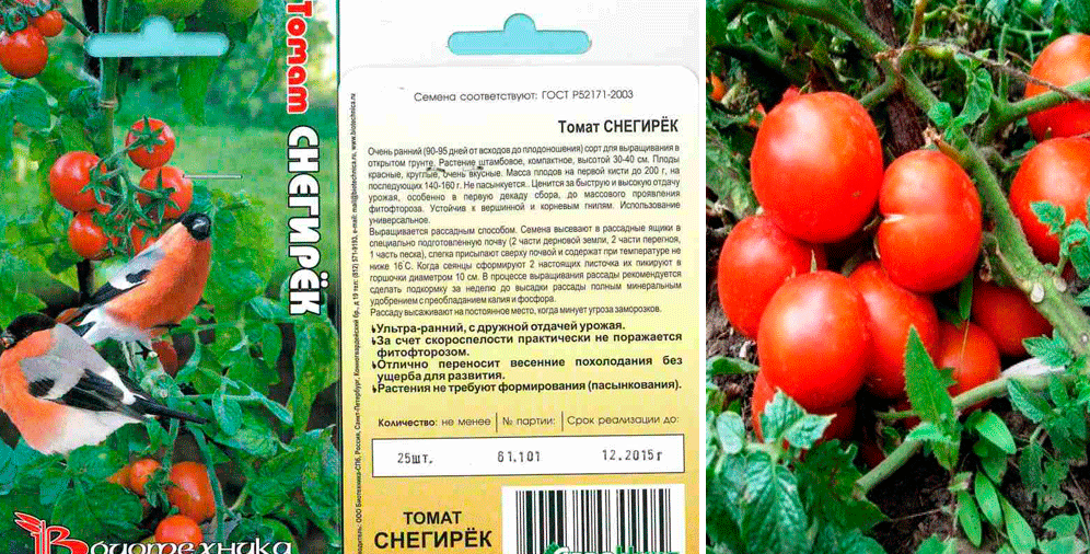 Купить семена Томат Снегири в Минске и почтой по Беларуси