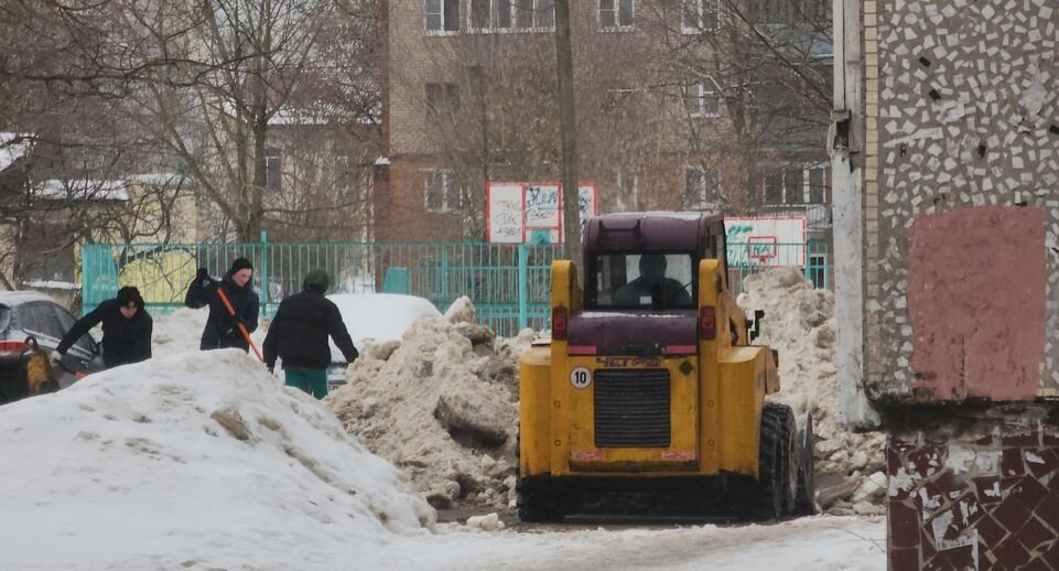    Алёна Притула