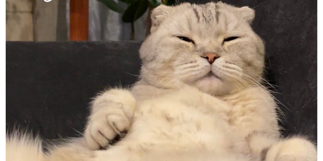 Работник года😂