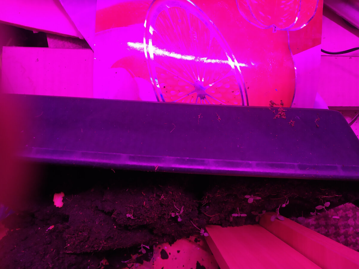 Афоризмы про выходные. Что не спится тебе. Чего вам не спится. Смешные мемы про спящих людей. Как ответить на вопрос как спалось мужчине.