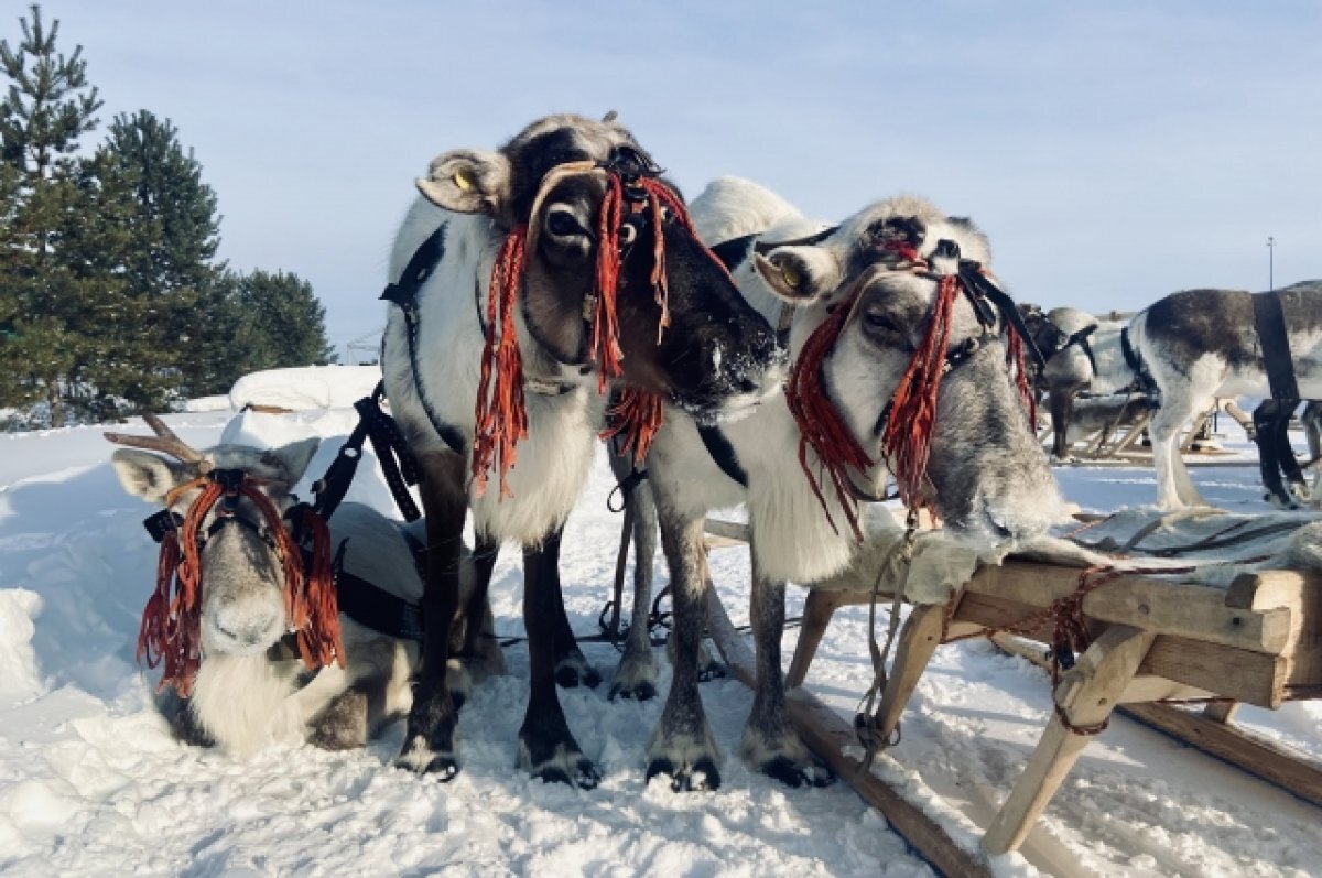    В Сургутском районе открылось новое этностойбище
