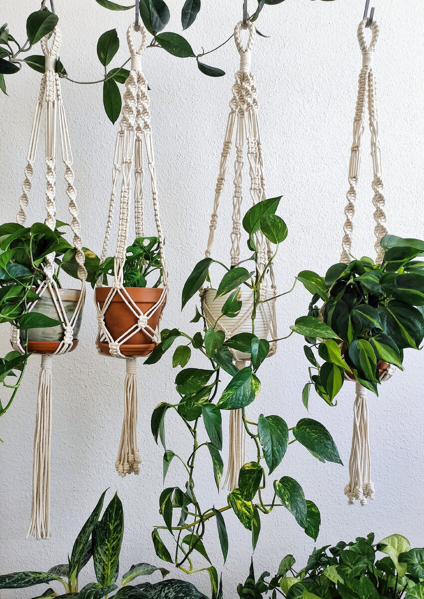 Работа Марии Зиминой автора школы макраме Zacramaschool