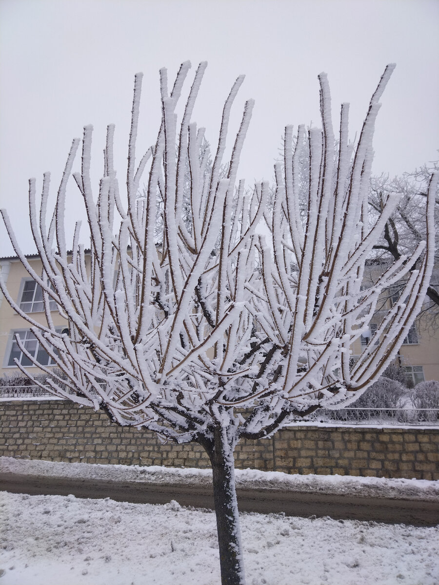 Зимний пейзаж