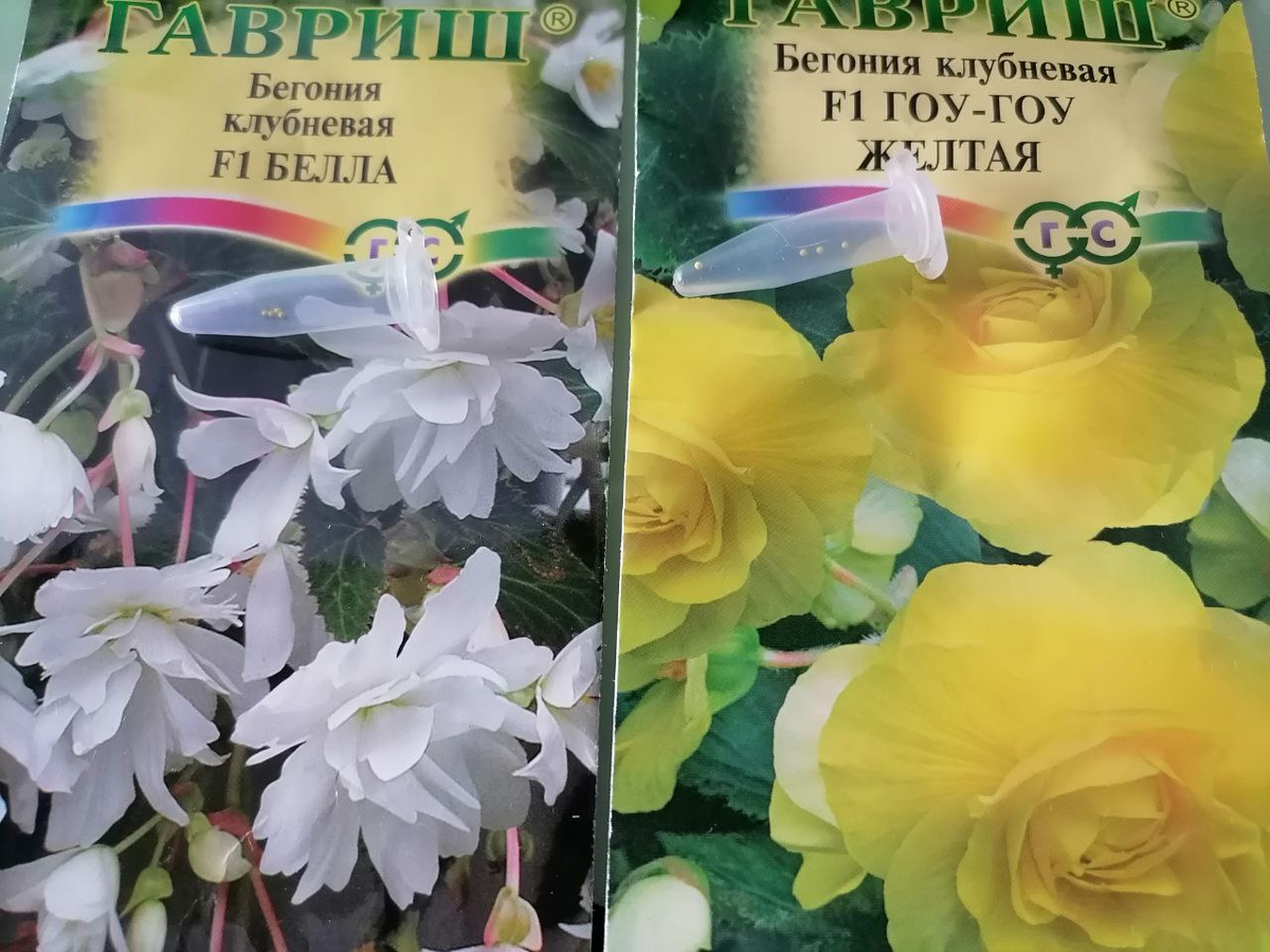 Из этих пакетов буду сеять бегонии