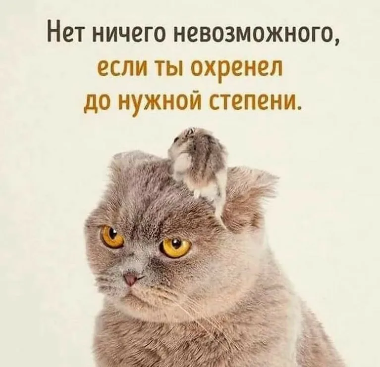https://otkrit-ka.ru/uploads/posts/2021-09/krasivye-foto-kartinki-pro-naglost-31.jpg