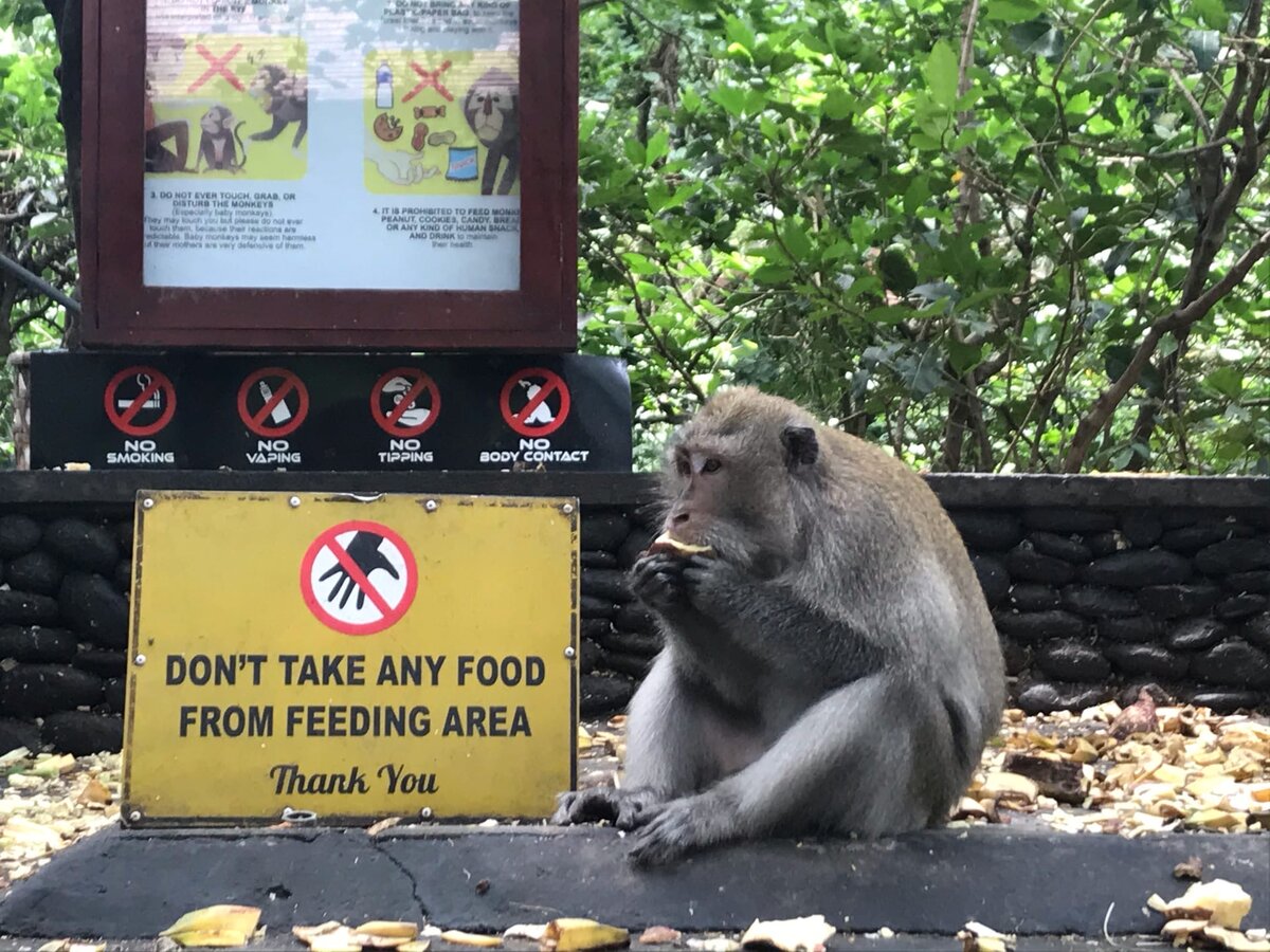 план проекта мое имя. красивыеbvtyf для девочек. имена людей. красивые имина доля девочек. русские имена.