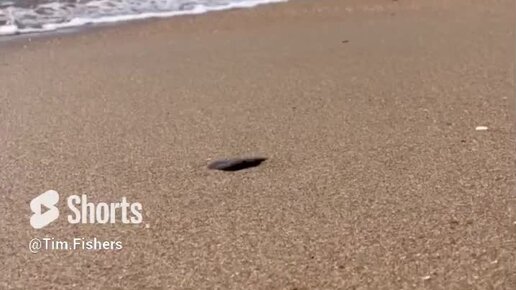 туапсе песчаные пляжи. песчаное пляж 2023. золотой пляж лермонтово краснодарский край. саки база отдыха прибой 2022. песчаное пляж 2023.