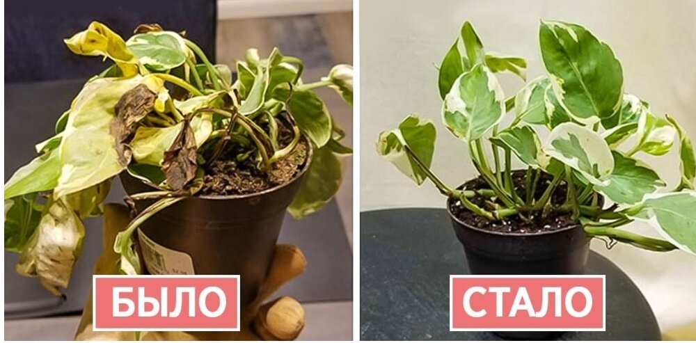 Какие предприятия должны работать. Порядок проведения стажировки на рабочем месте по охране труда. Какие предприятия должны работать. Строительное сро. Организация работы с конфиденциальной информацией.