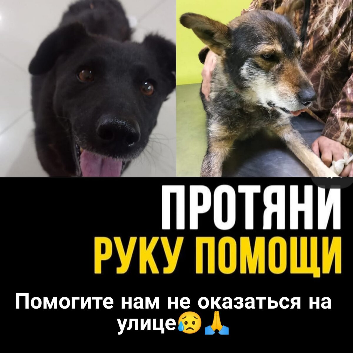 Сам понял а они не понимают