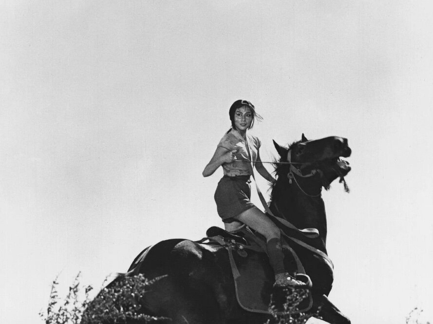 Toho Company📷Кадр из фильма «Трое негодяев в скрытой крепости»