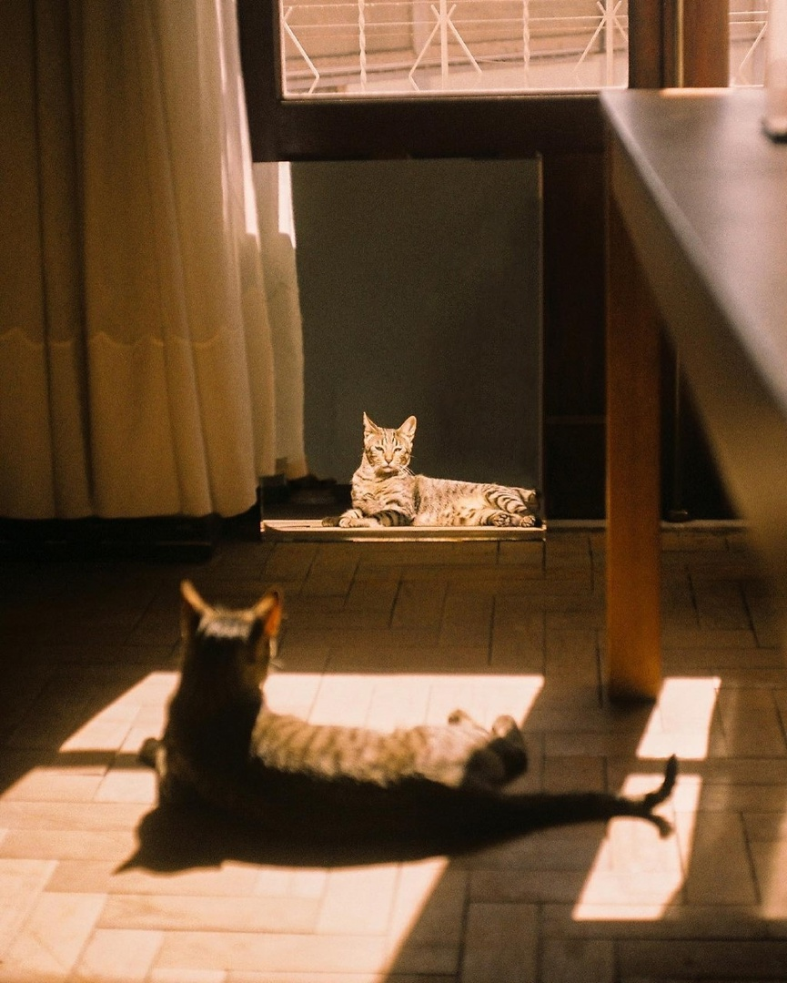 фото Сары Латив