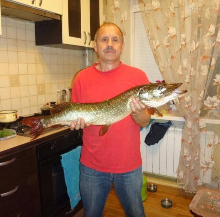 Друг Бобров Владимир Стрельников