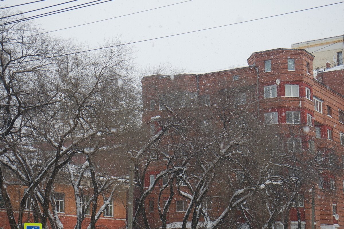 кусочек школы и новостройка рядом