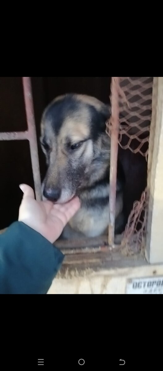 Вот так она видела в гаражах