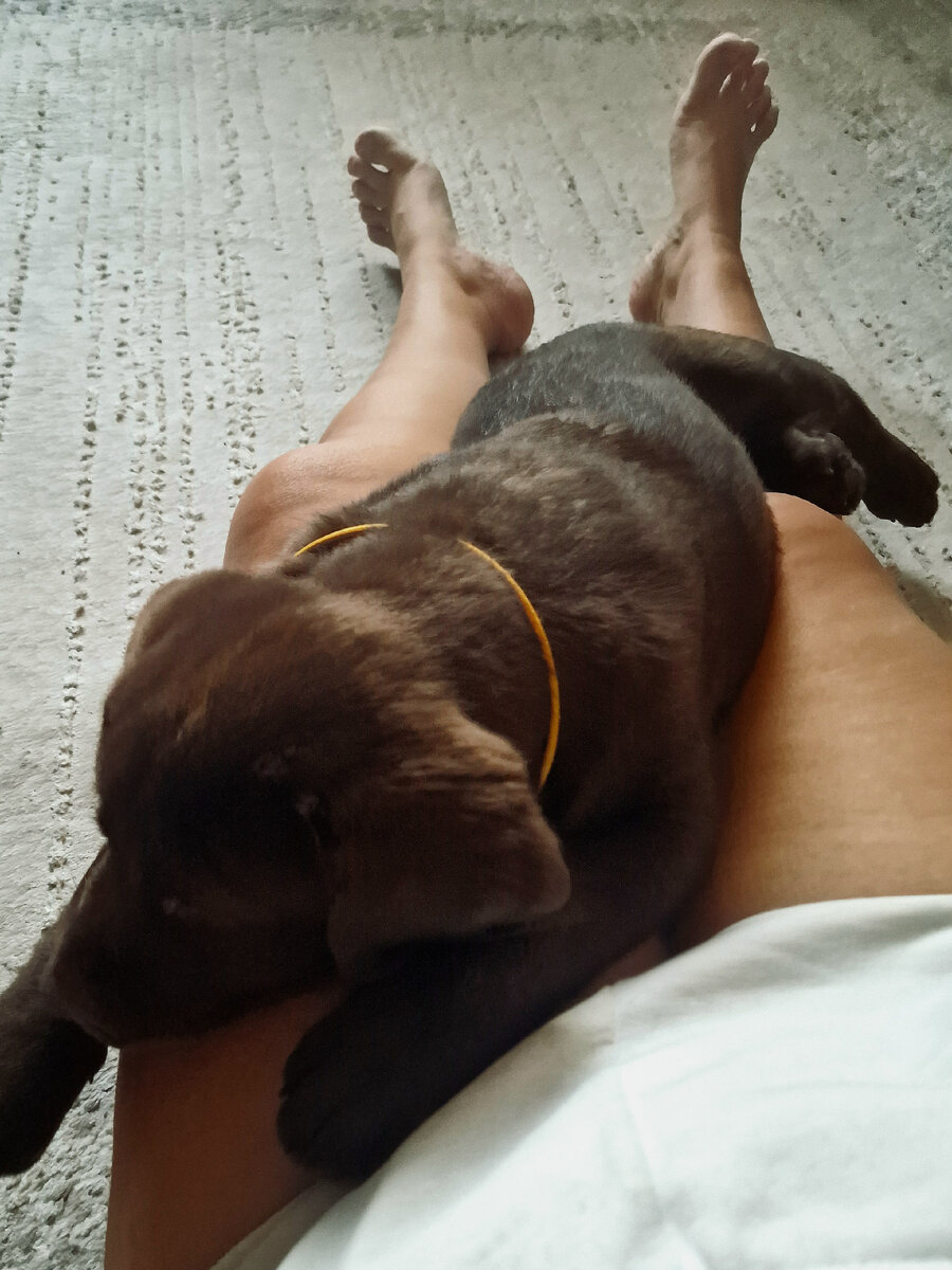 Любит так полежать между делами)