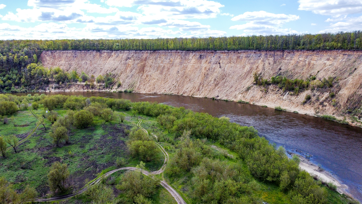 Кривоборье