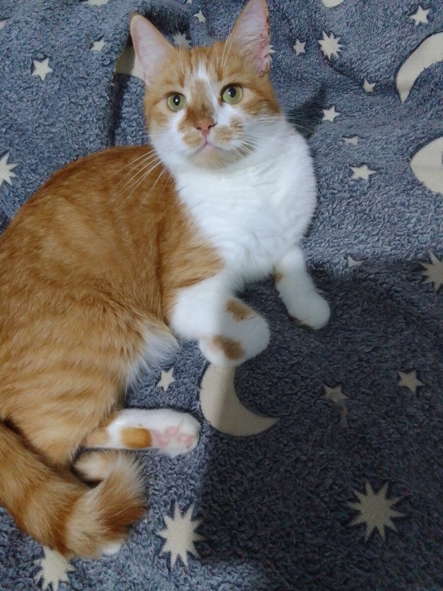 Москва большая серпуховская 62 детский. Серпуховская б. Б. Б. Ники б серпуховская 62.