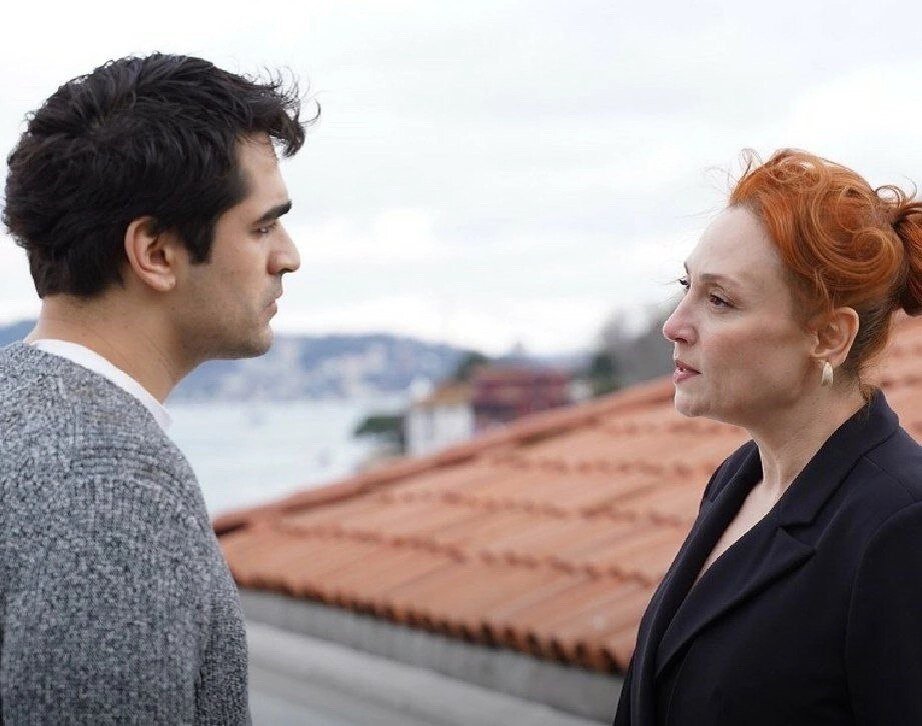 Кадр из сериала "Зимородок". Картинка из Интернета.