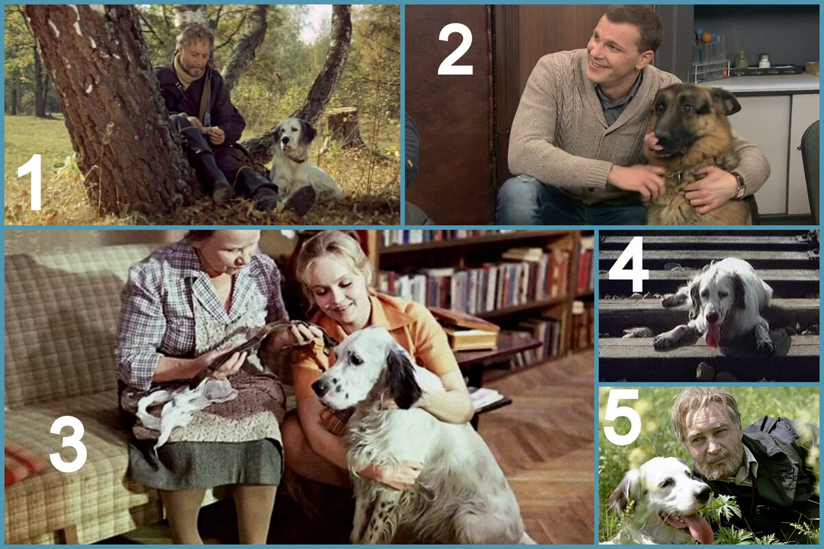 Коллаж автора