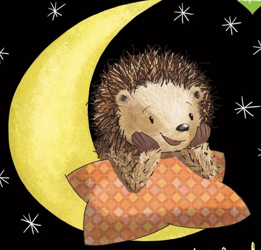 Фото из открытого источника. 