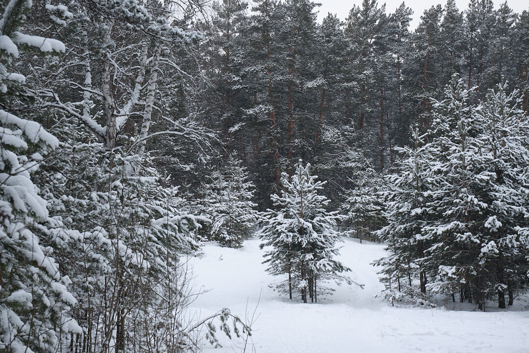 Fujinon XC 15-45 F7,1