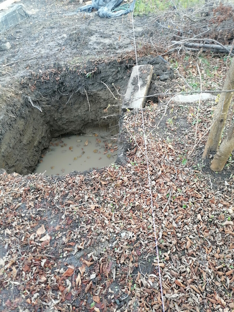 вот как я увидела впервые