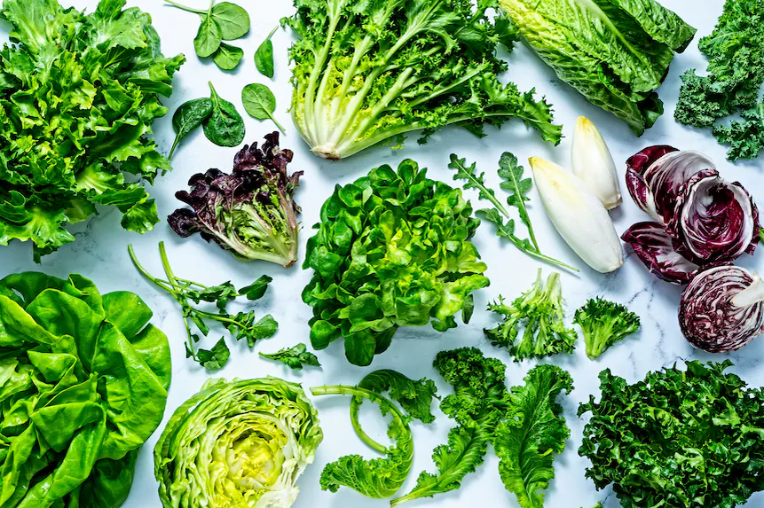 Какая зелень лучше. Lettuce Leaf. Green Salad.