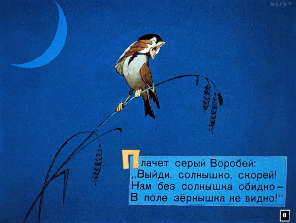 Презентация с черный воробей. Воробей из сказки краденое солнце. Воробей плачет. Плачет серый Воробей выйди солнышко скорей. Воробей на черном фоне картинка для детей из сказки краденое солнце.