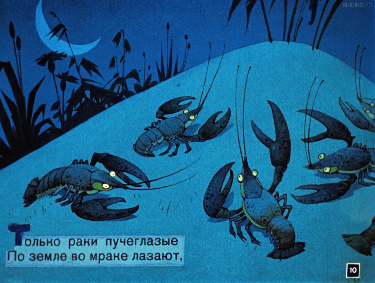 чуковский корней "краденое солнце". краденое солнце содержание. краденое солнце чуковский медведь. медвежата краденое солнце чуковский. краденое солнце.