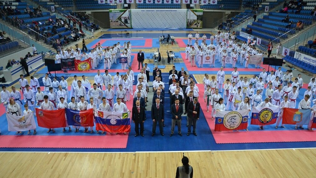 Артем осипенко дворец единоборств. Боевые искусства брянск. Дворец единоборств брянск логотип. Открытие дворца единоборств в брянске. Дворец единоборств брянск.