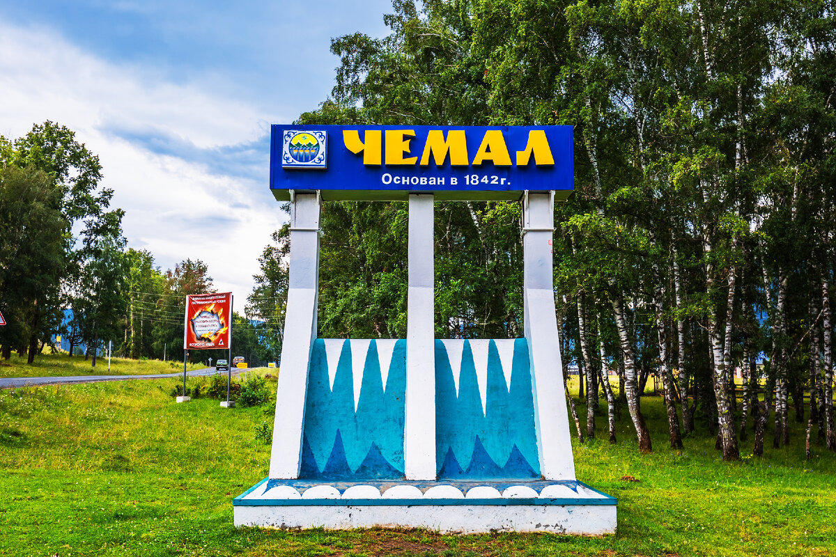 один серый другой белый мем. статуя гуся. жили у бабуси два обычных гуся. веселые гуси. разные глаза.