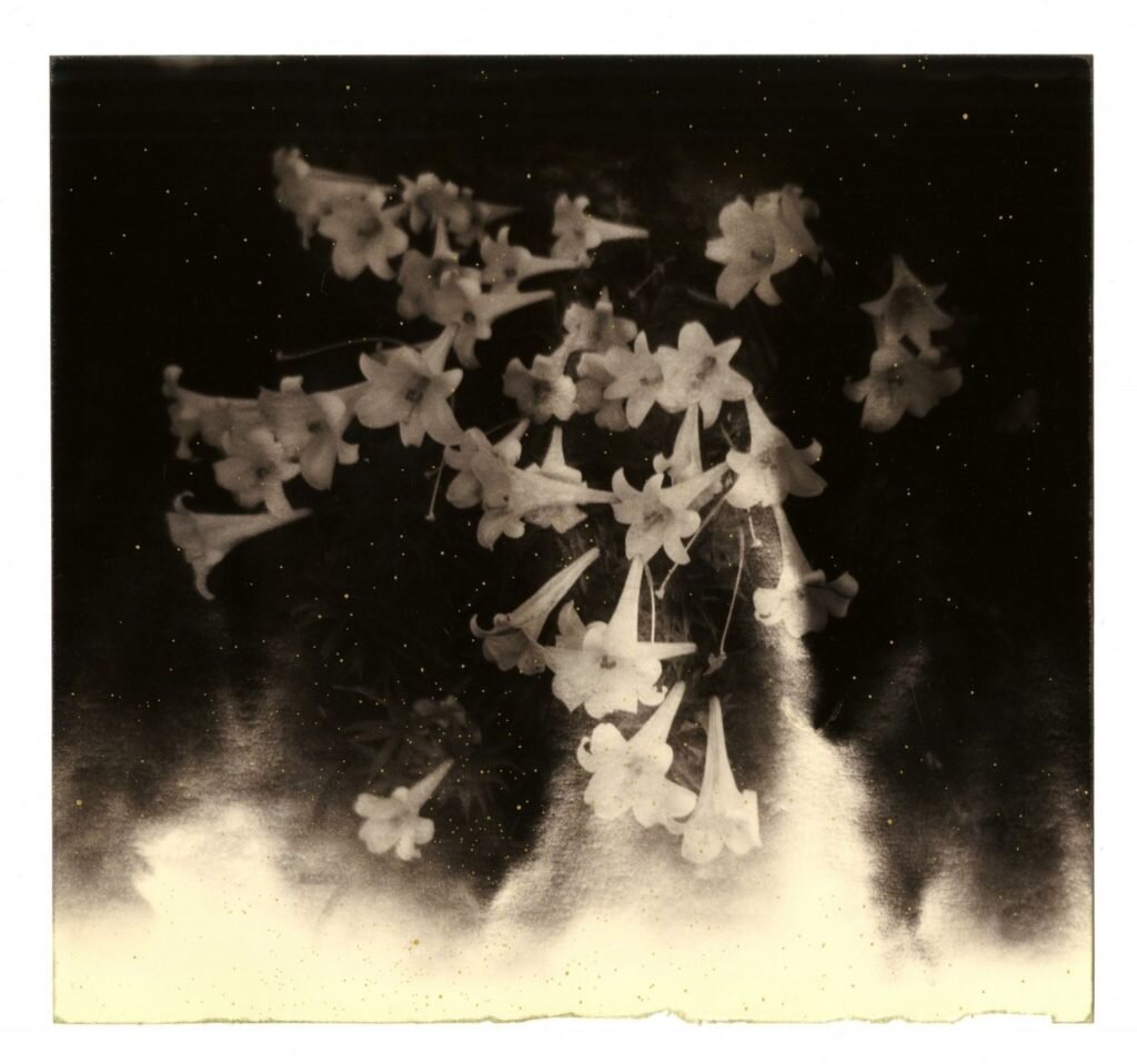     фото: Yamamoto Masao