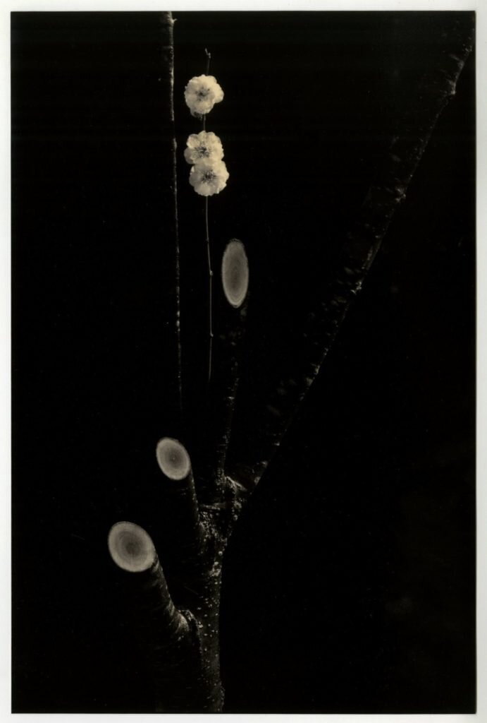 женщина любовь и море стихи. стихи про ветер. стихи о счастье. душа моя стихи. стихи о море и любви.