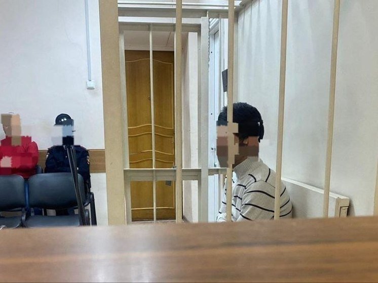 Юрист в суде. Консультация юриста. Суды по работам и услугам. Юридические услуглуги. Суды по работам и услугам.