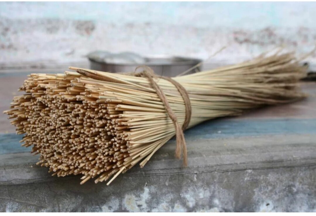 Картинка похожа на сплетение с отходящими от него нервами