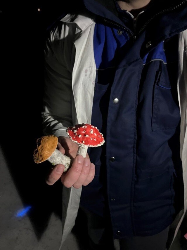 Прибор для измерения силы физика 7 класс. Том что измеряемые в них. Сила трения единица измерения. Прибор для измерения веса. Физические величины измерение физических величин 7 класс.