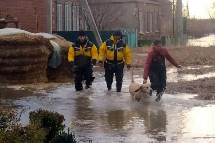 Источник фото: фото из архива/ donland.ru