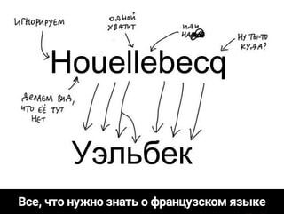 Коллеги поделились картинкой. Смеялась. 