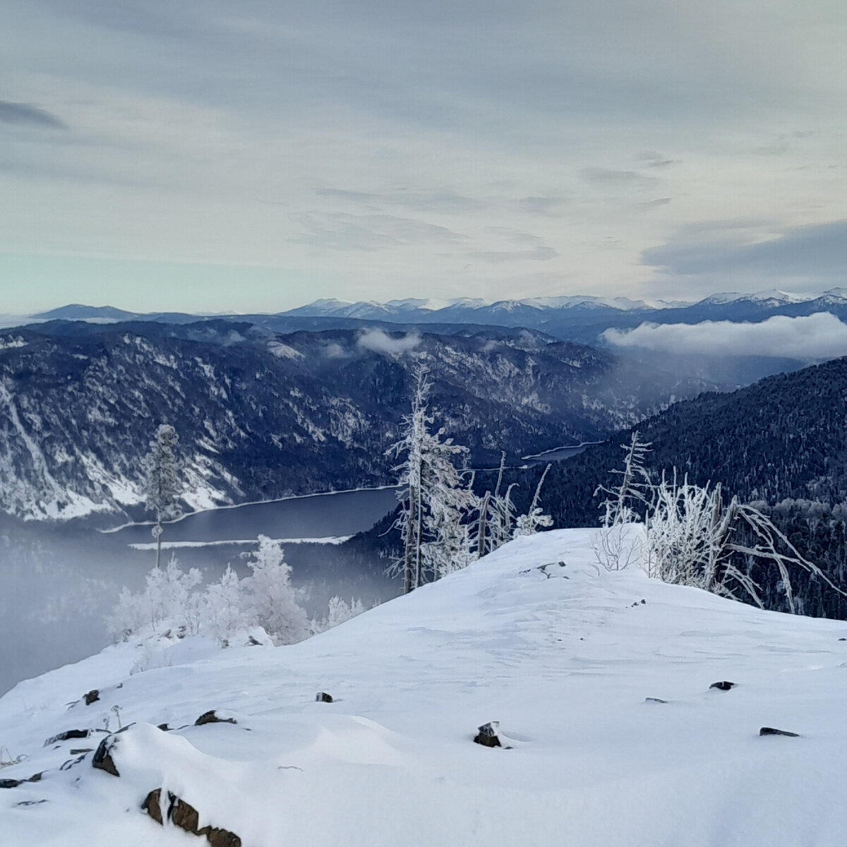 Зима солнце. Горы солнце. Солнце зимой предложение. Зимний пейзаж с солнцем. В праздничном уборе деревья стоят или стоят деревья.
